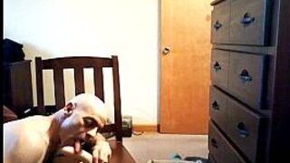 sucking and fucking my dildo - porn video