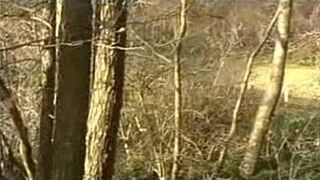 German amateurs go to the woods to fuck - porn video