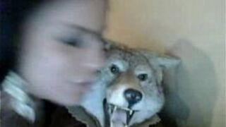 Cutey Uses Massager On Throbbing Clitoris - porn video